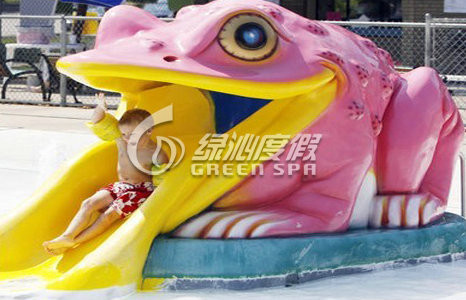 Colorful Small Frog Water Slide / Kids' Water Slides Safety for Aqua Park Playground Equipment